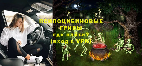 дурь Осинники