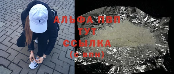 амф Пересвет
