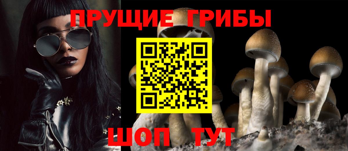 Электрогорск  Псилоцибиновые грибы Cubensis  Вход с VPN 